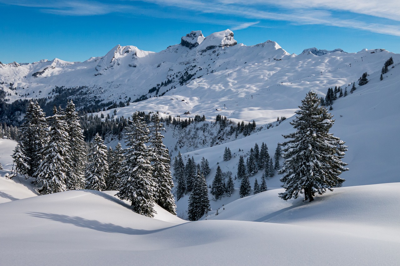 winter, hochybrig, pre-alps-4697776.jpg